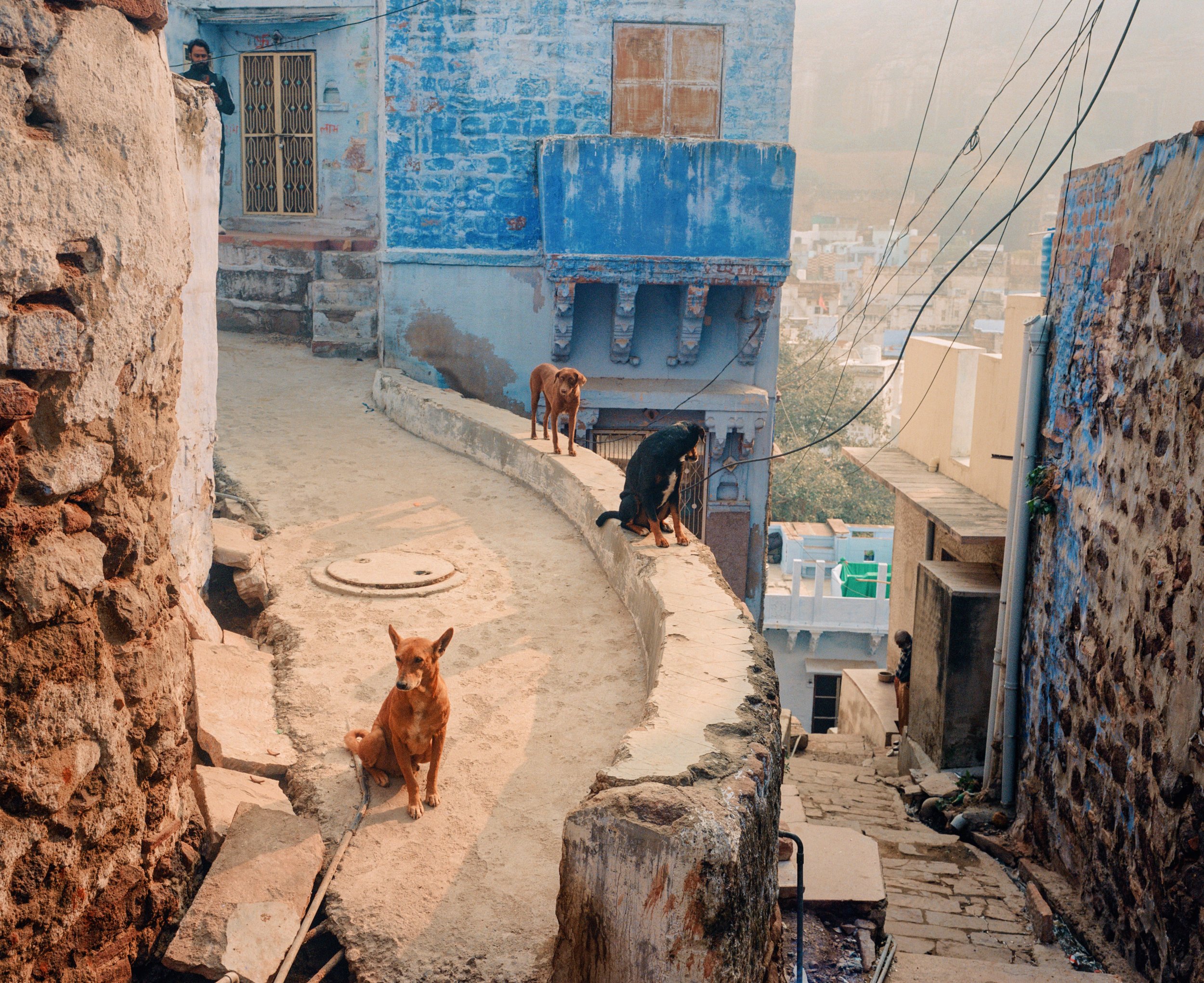 India — Joe Greer